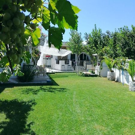 Villa Dina Chania  Buitenkant foto