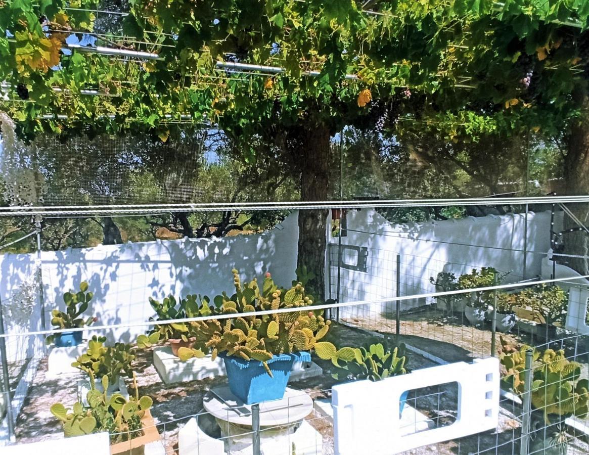 Villa Dina Chania  Buitenkant foto