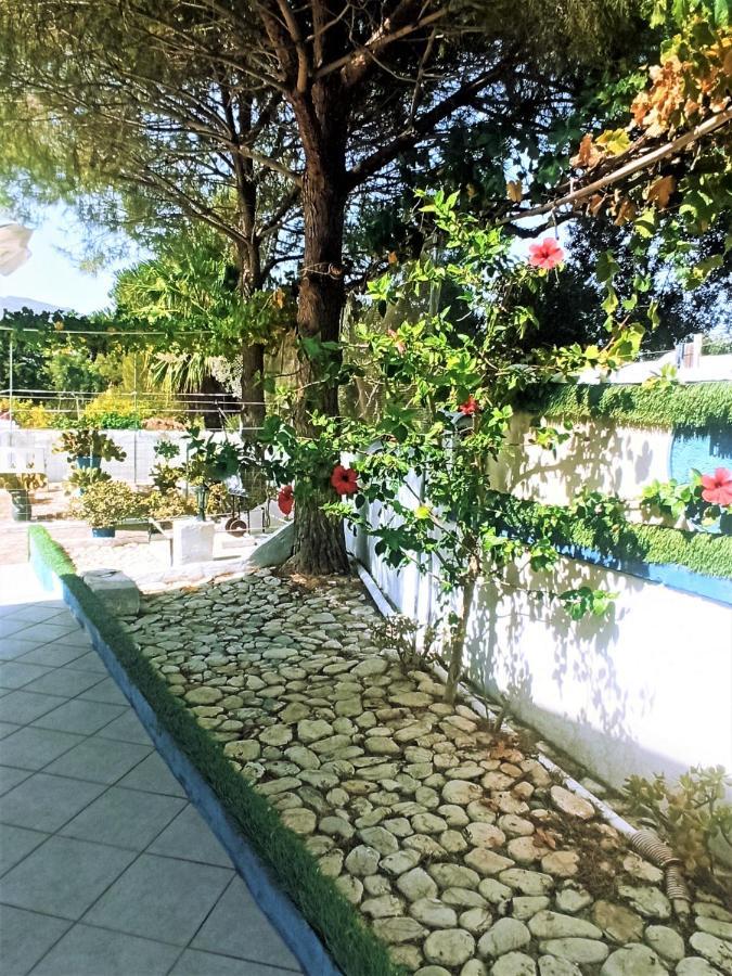 Villa Dina Chania  Buitenkant foto